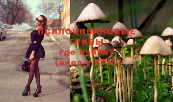 прущая мука Алексеевка