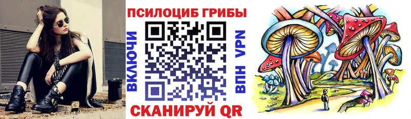 Галлюциногенные грибы Cubensis  где можно купить   Фокино 